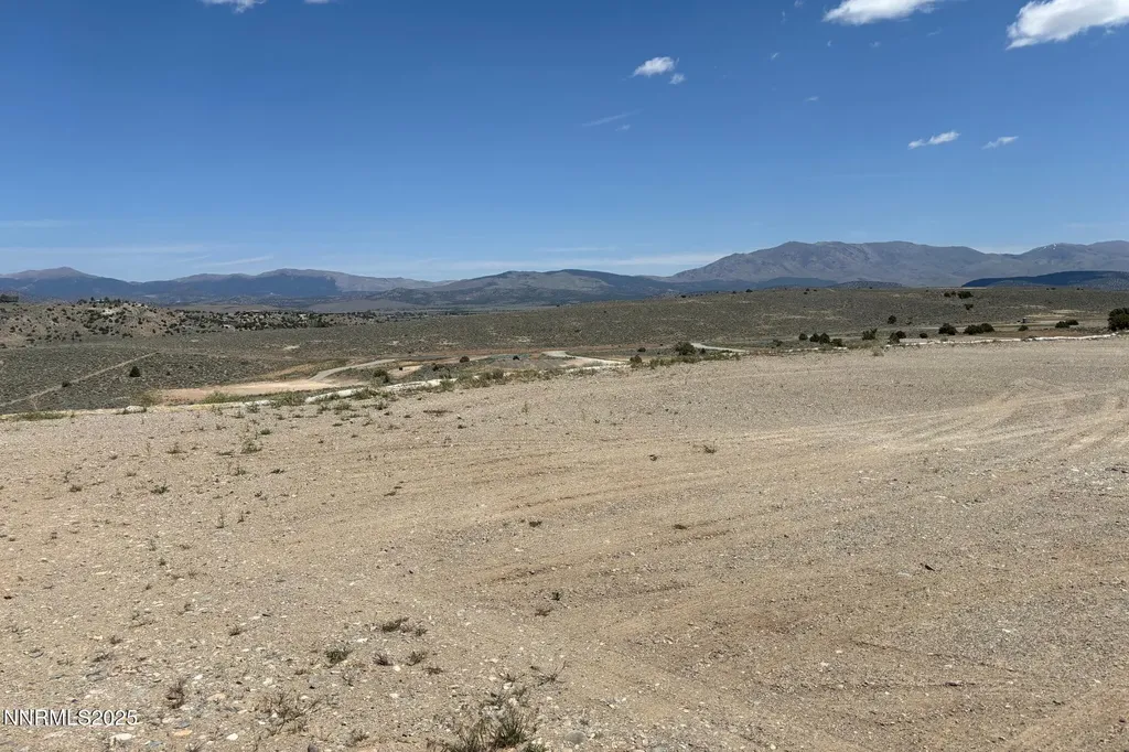 2020 Currant Gardnerville NV 89410