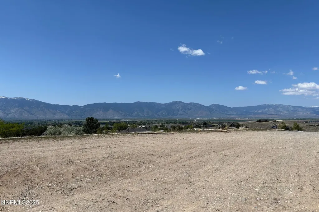 2020 Currant Gardnerville NV 89410
