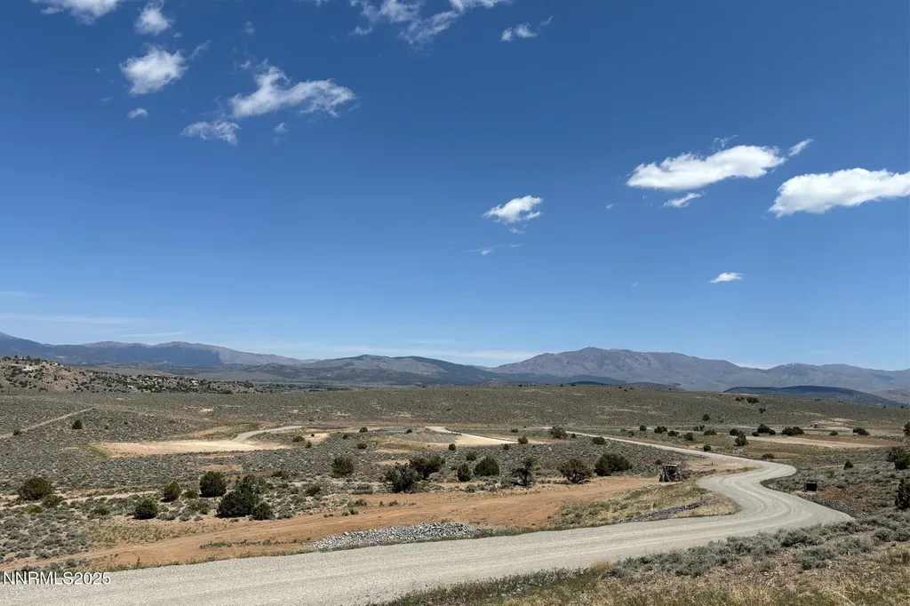 2020 Currant Gardnerville NV 89410