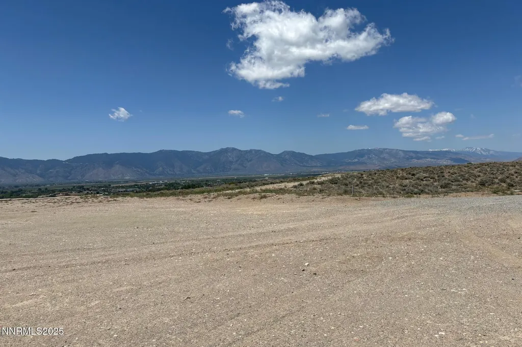 135 Pico Lane Gardnerville NV 89410