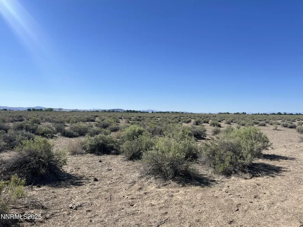 160 Acres Off Of Mcgregor Fallon NV 89406
