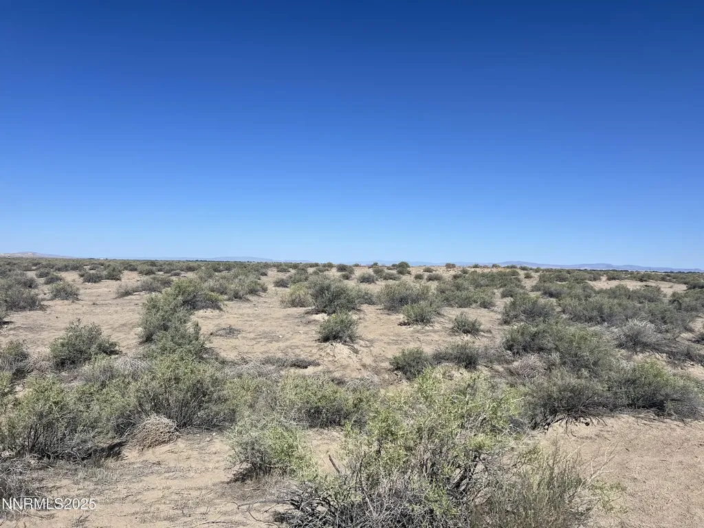 160 Acres Off Of Mcgregor Fallon NV 89406