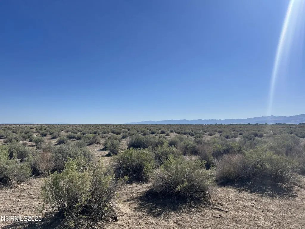 160 Acres Off Of Mcgregor Fallon NV 89406