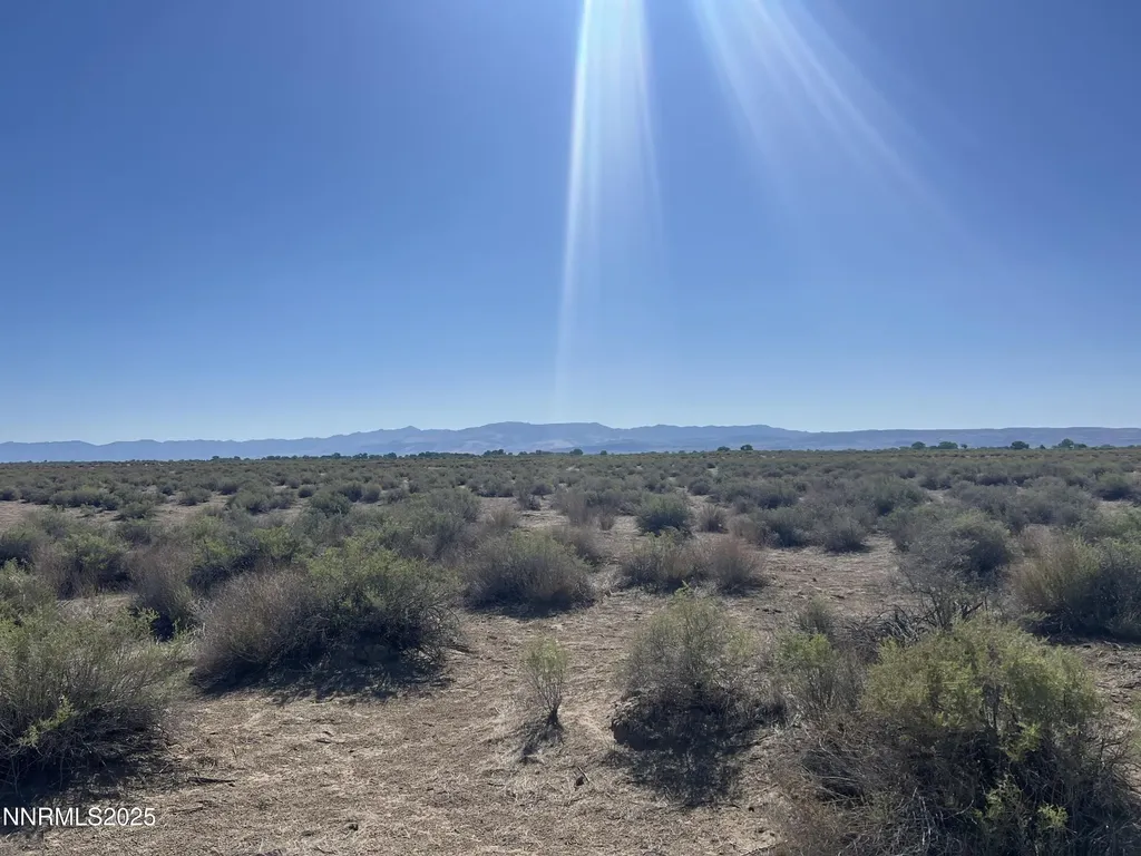 160 Acres Off Of Mcgregor Fallon NV 89406