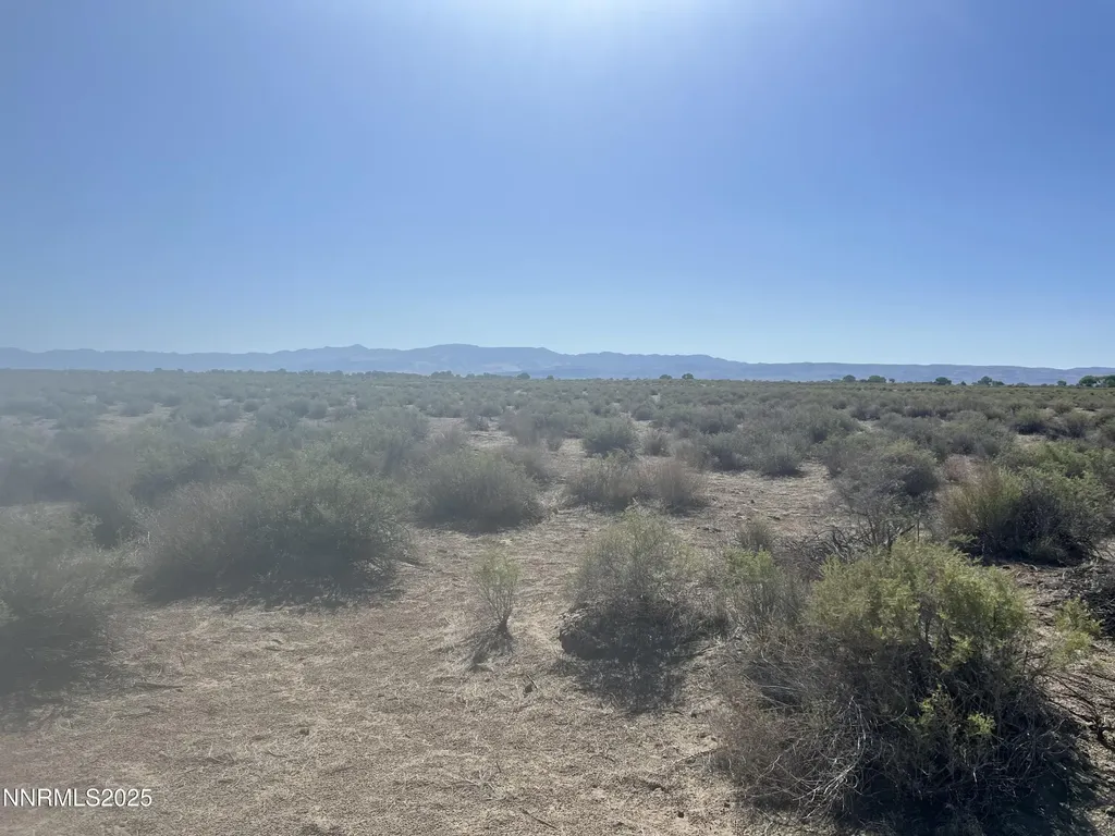 160 Acres Off Of Mcgregor Fallon NV 89406