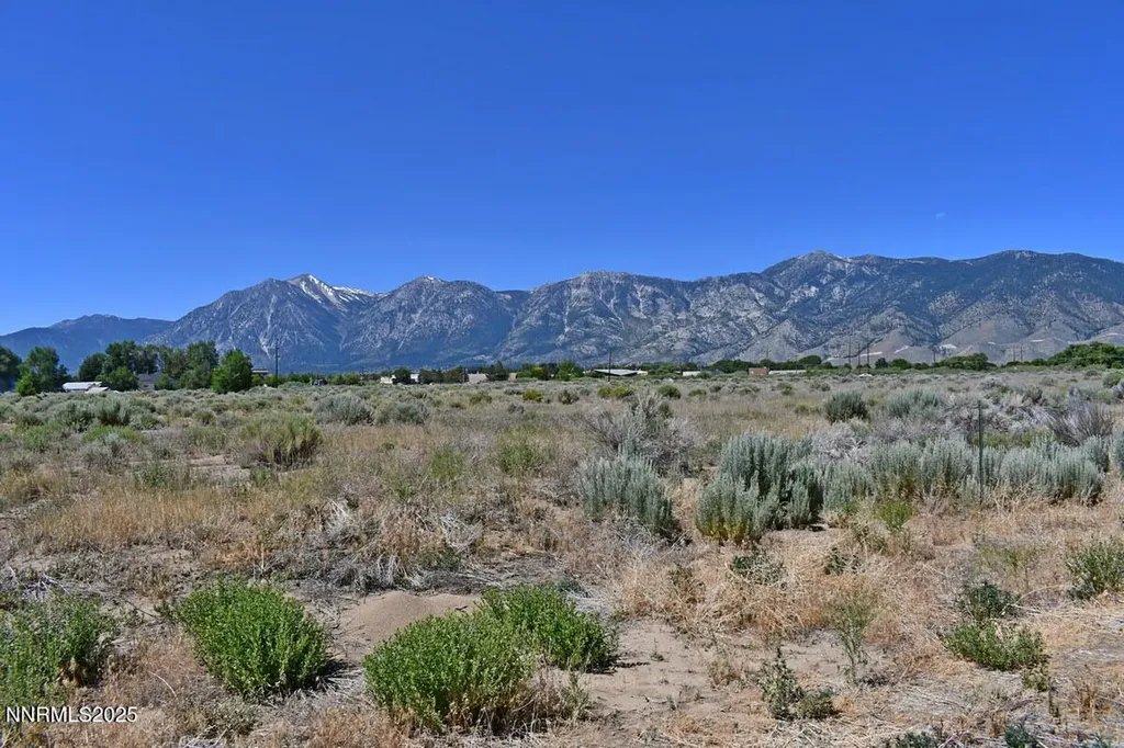 1795 U.s. Highway 395 Minden NV 89423