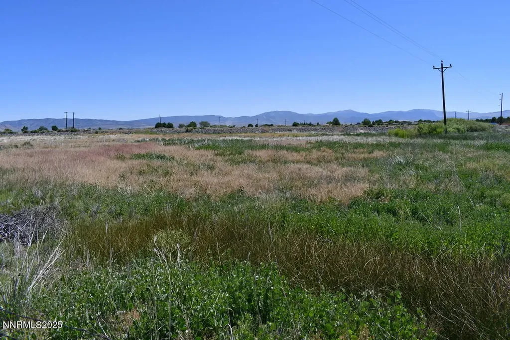 1795 U.s. Highway 395 Minden NV 89423