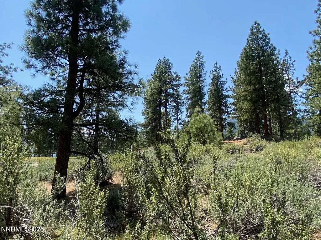 245 Redding Way Carson City NV 89705