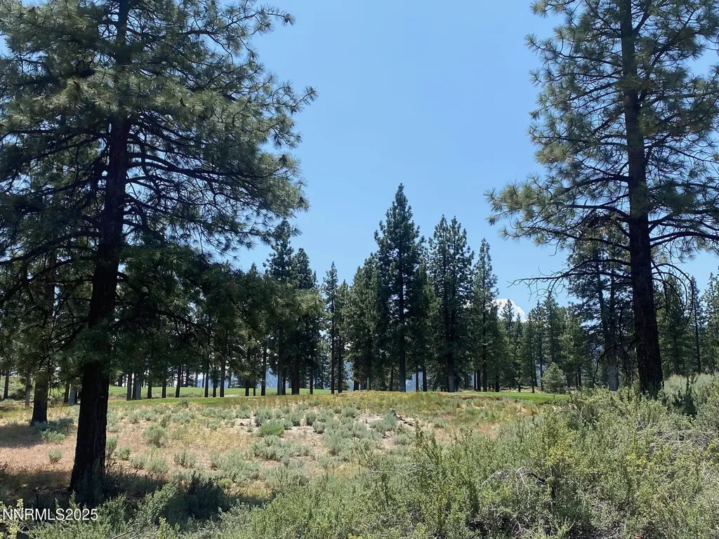 245 Redding Way Carson City NV 89705