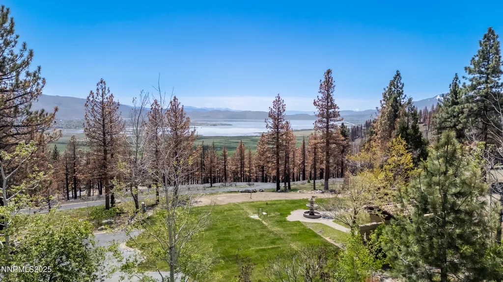 7451 Granite Ridge Washoe Valley NV 89704