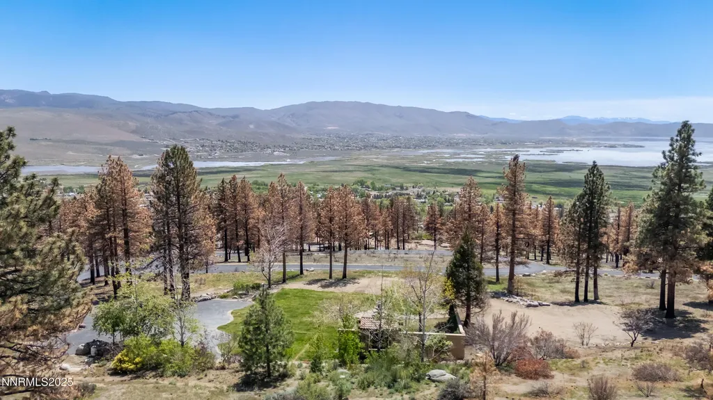 7451 Granite Ridge Washoe Valley NV 89704