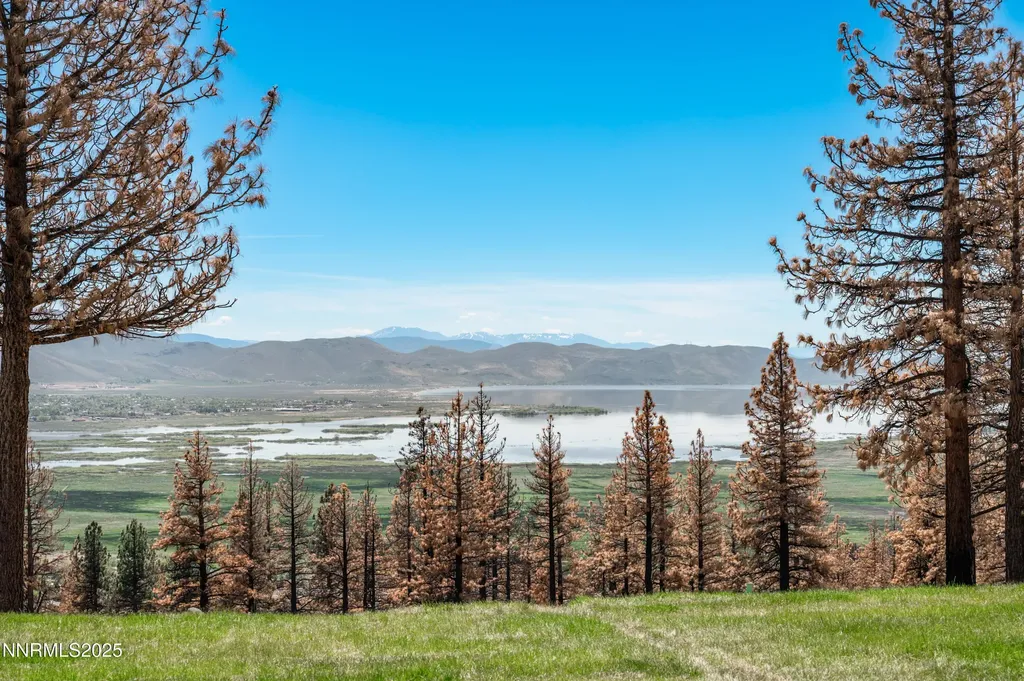 7451 Granite Ridge Washoe Valley NV 89704