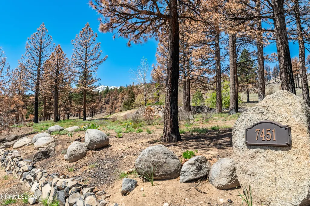7451 Granite Ridge Washoe Valley NV 89704
