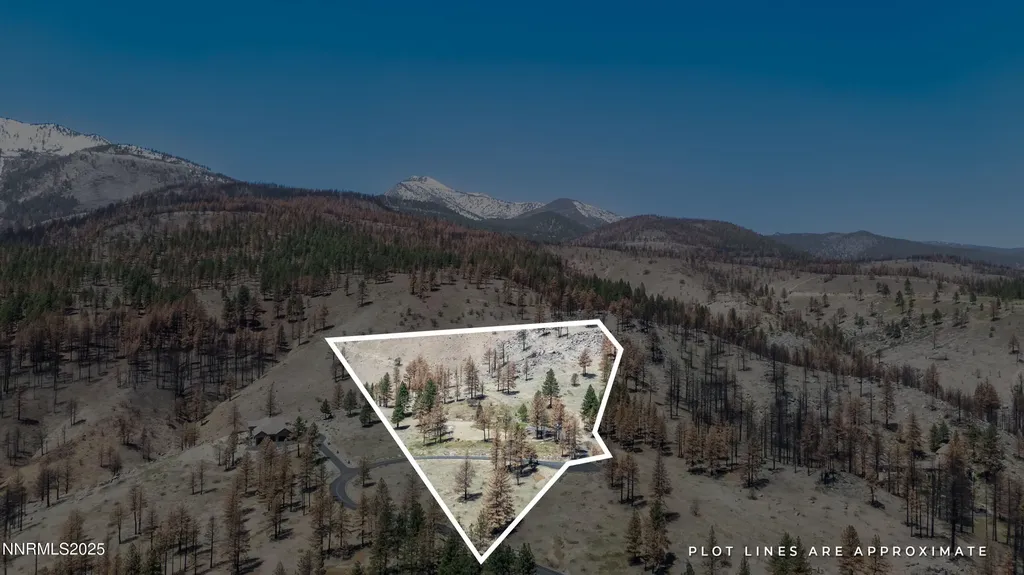 7451 Granite Ridge Washoe Valley NV 89704