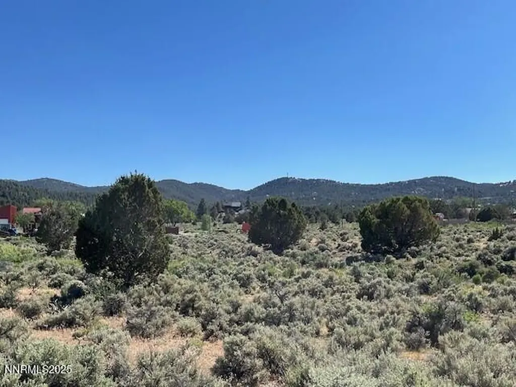 3330 Lousetown Reno NV 89521