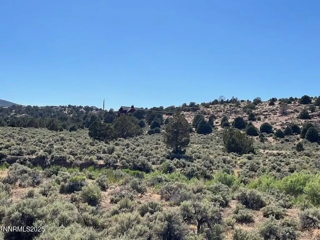 3330 Lousetown Reno NV 89521