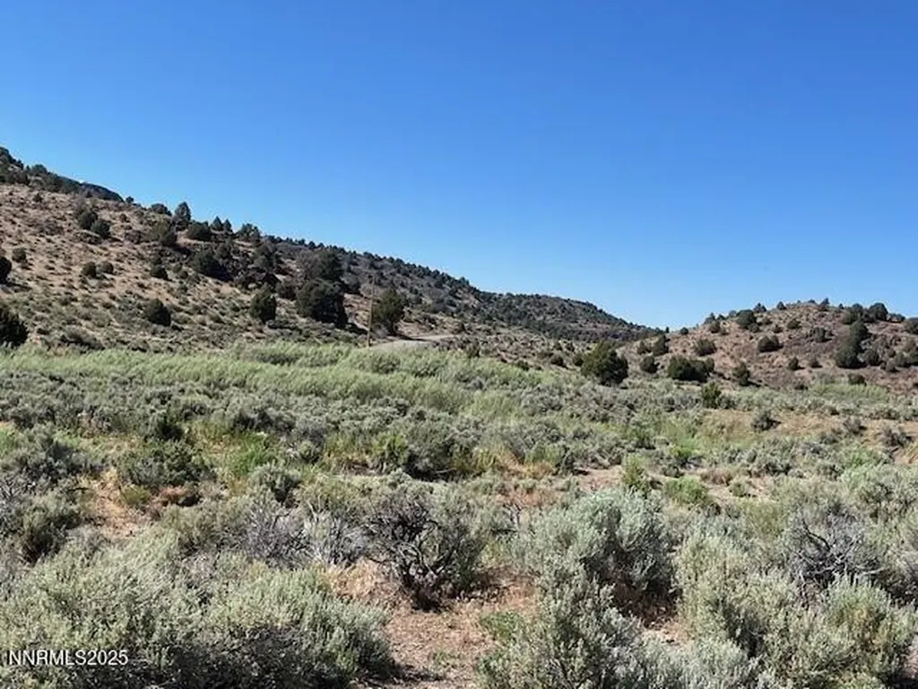 3330 Lousetown Reno NV 89521