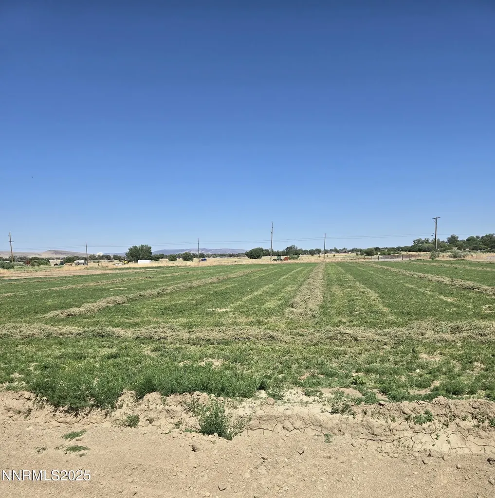 900 Cattle Fernley NV 89408