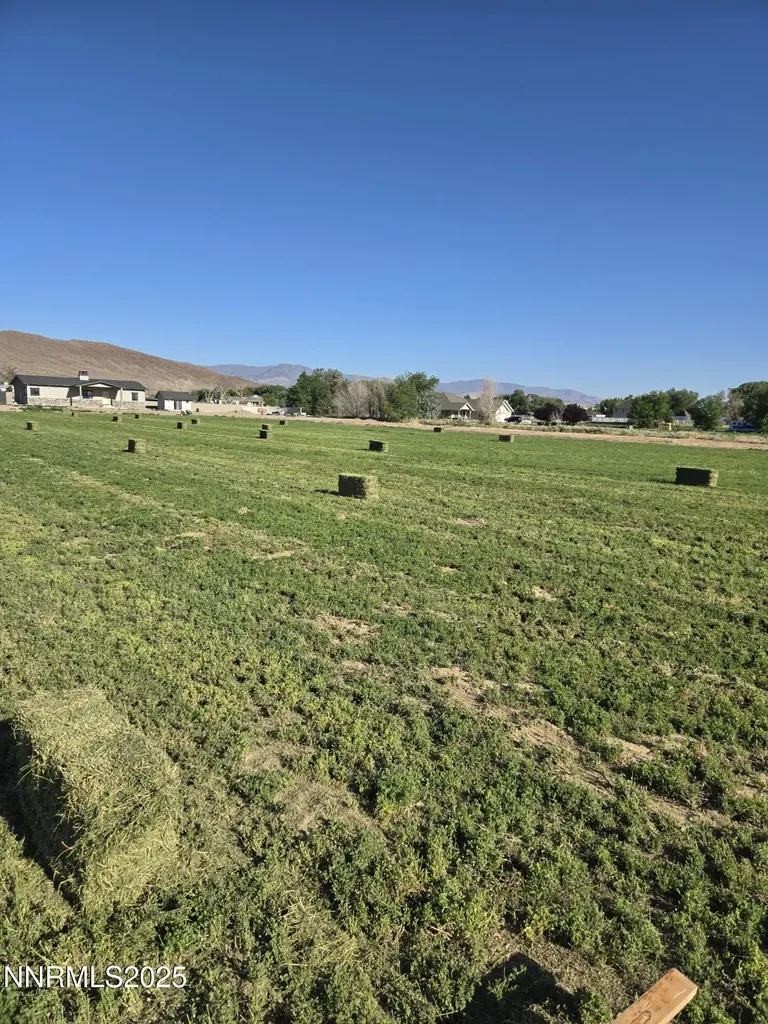 900 Cattle Fernley NV 89408