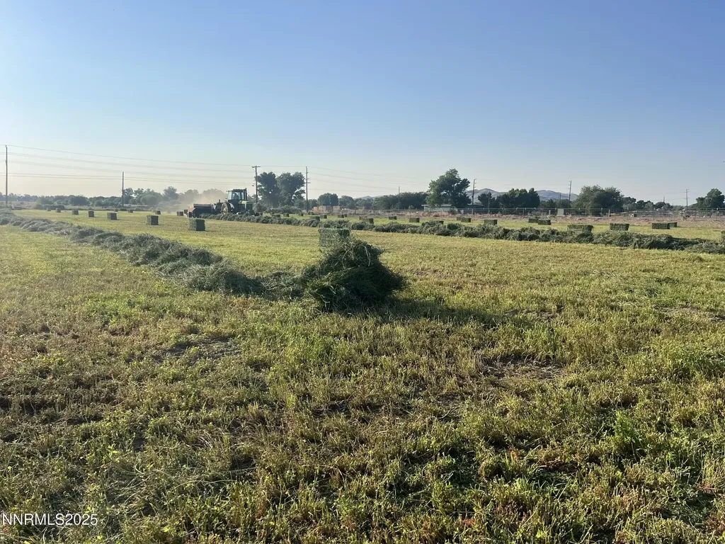 900 Cattle Fernley NV 89408