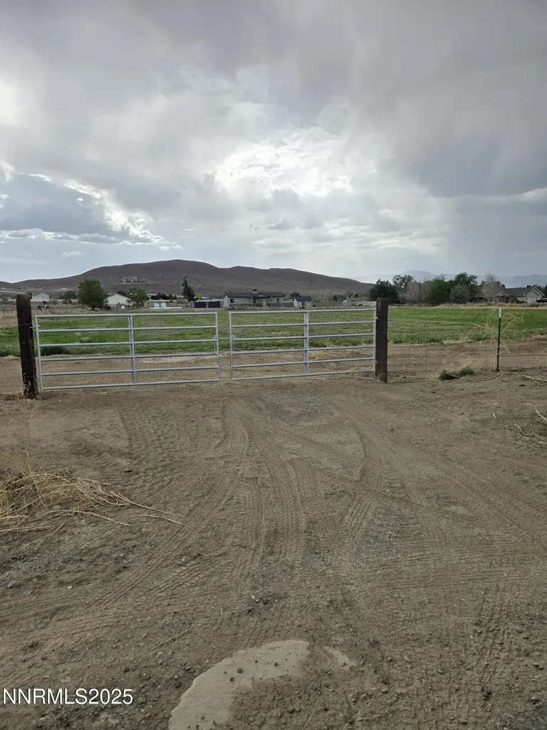 900 Cattle Fernley NV 89408