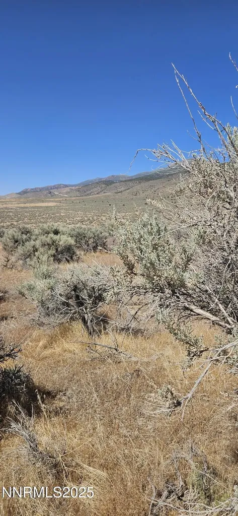 12170 Rye Patch Reservoir Lovelock NV 89419