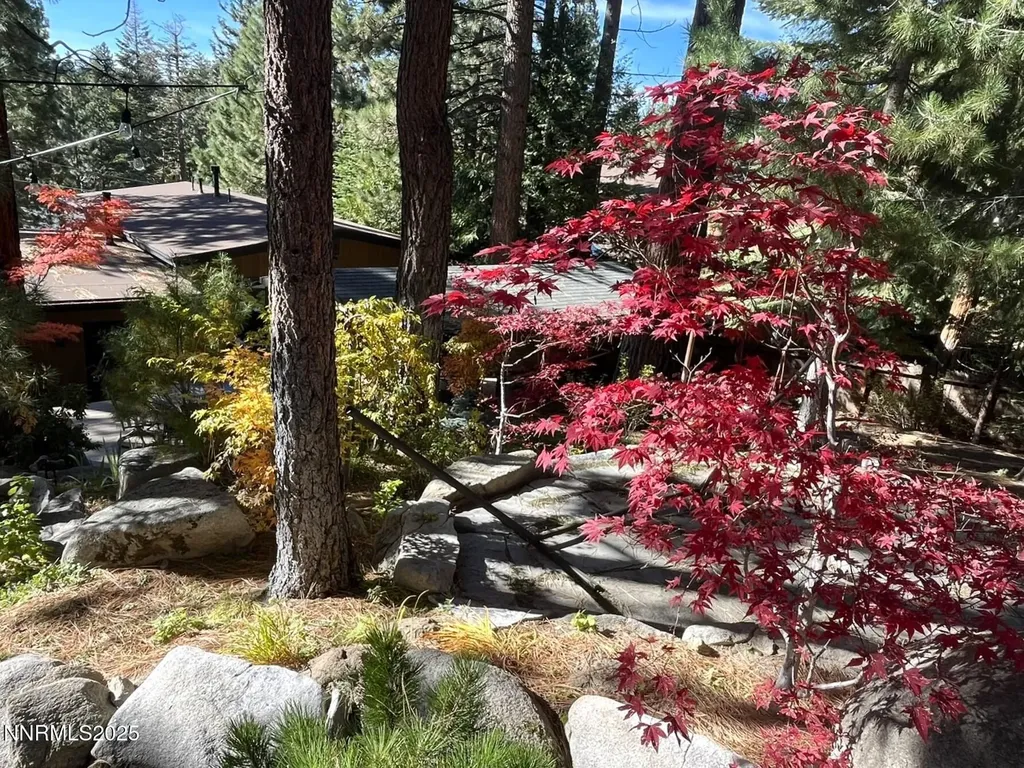 259 Mc Faul Zephyr Cove NV 89448