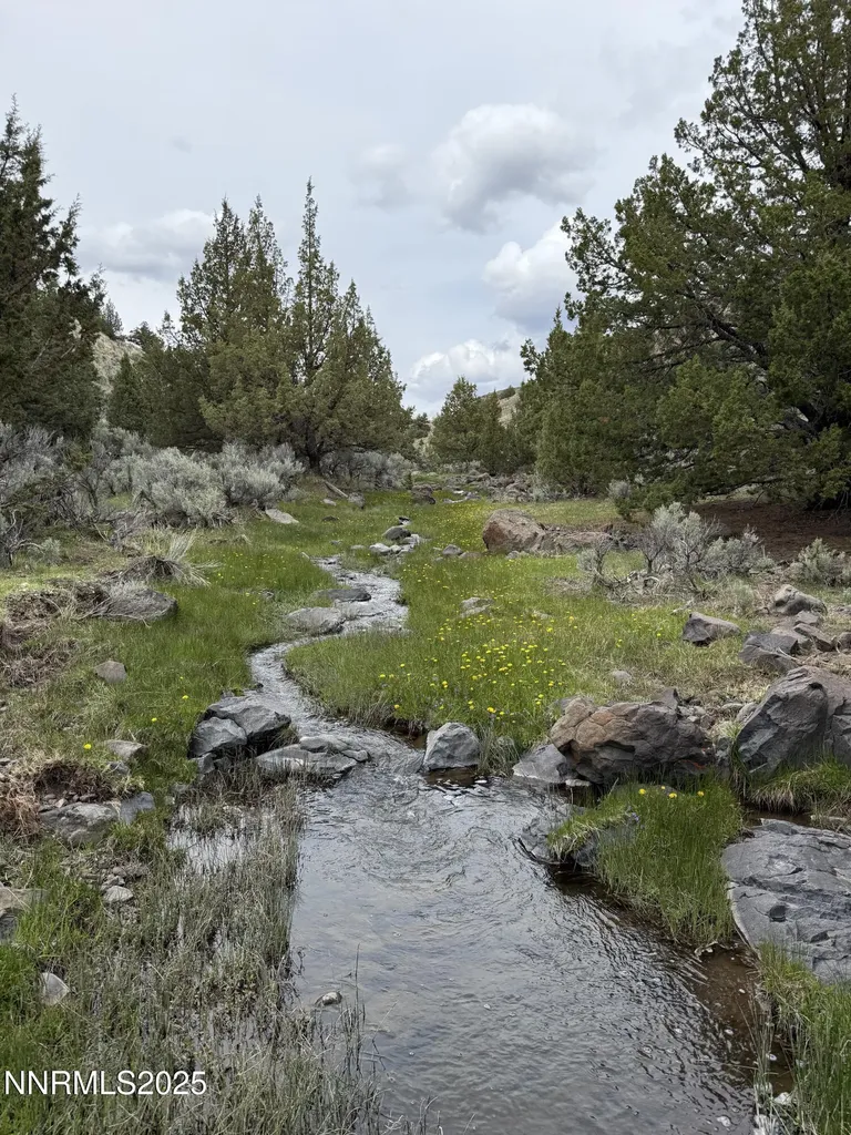 000 Wall Canyon Reservoir Gerlach NV 89412