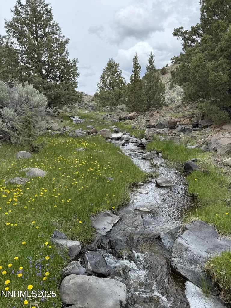 000 Wall Canyon Reservoir Gerlach NV 89412