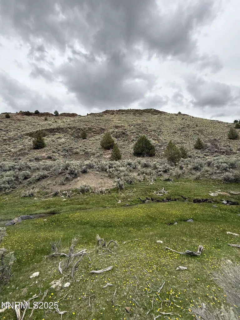 000 Wall Canyon Reservoir Gerlach NV 89412
