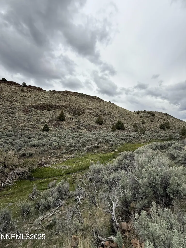 000 Wall Canyon Reservoir Gerlach NV 89412
