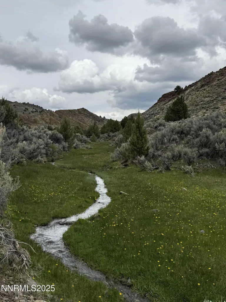 000 Wall Canyon Reservoir Gerlach NV 89412