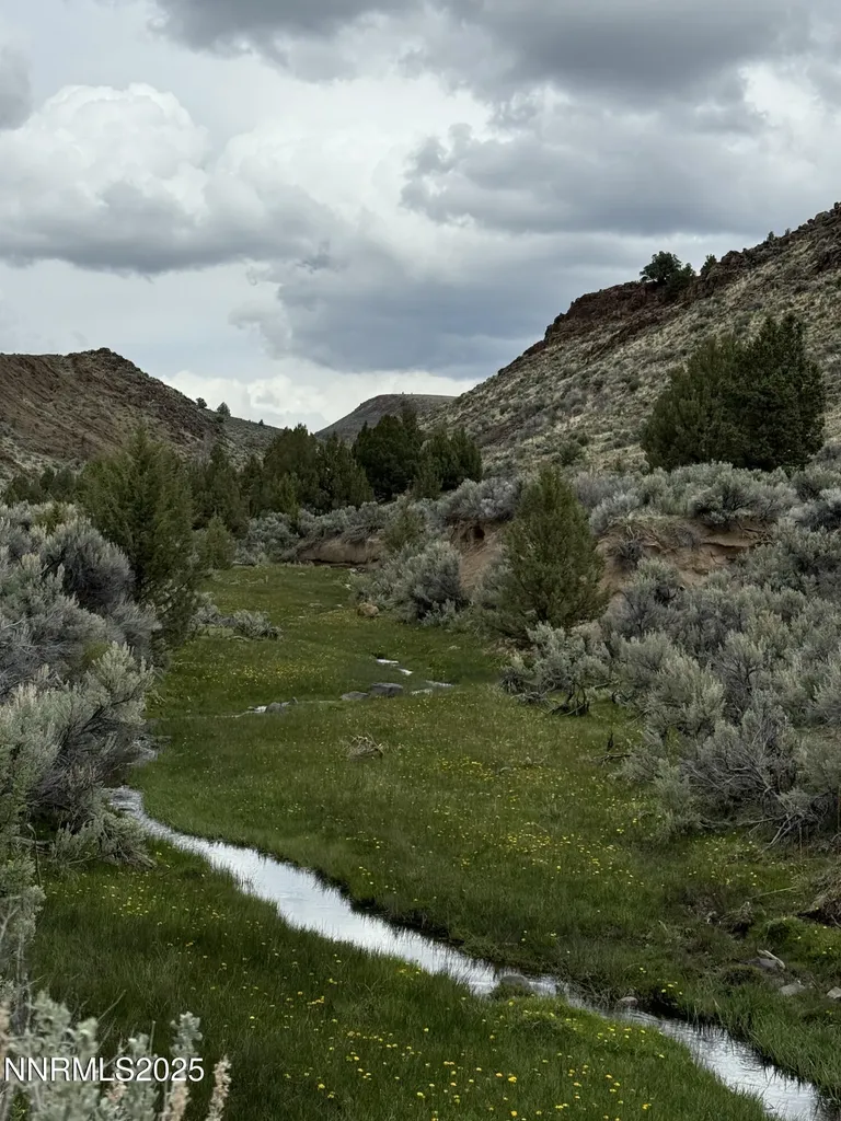 000 Wall Canyon Reservoir Gerlach NV 89412