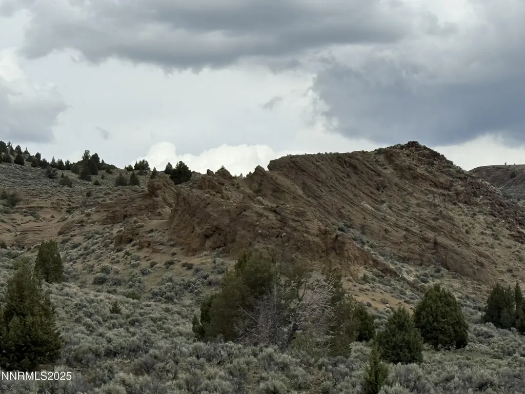 000 Wall Canyon Reservoir Gerlach NV 89412