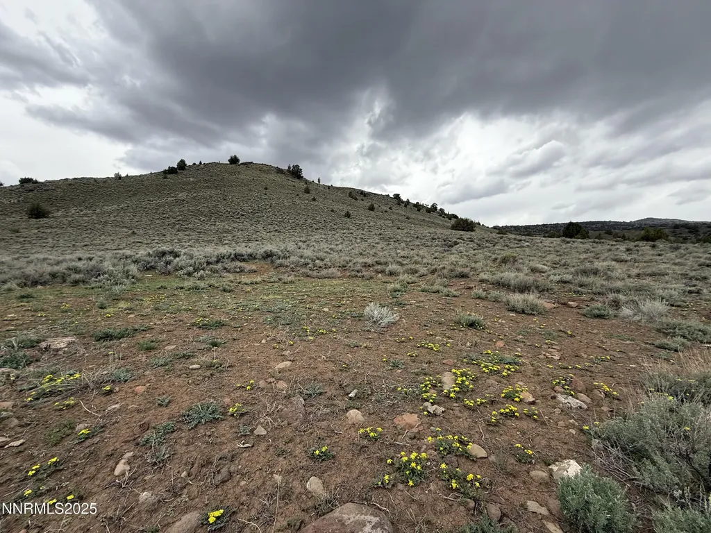 000 Wall Canyon Reservoir Gerlach NV 89412