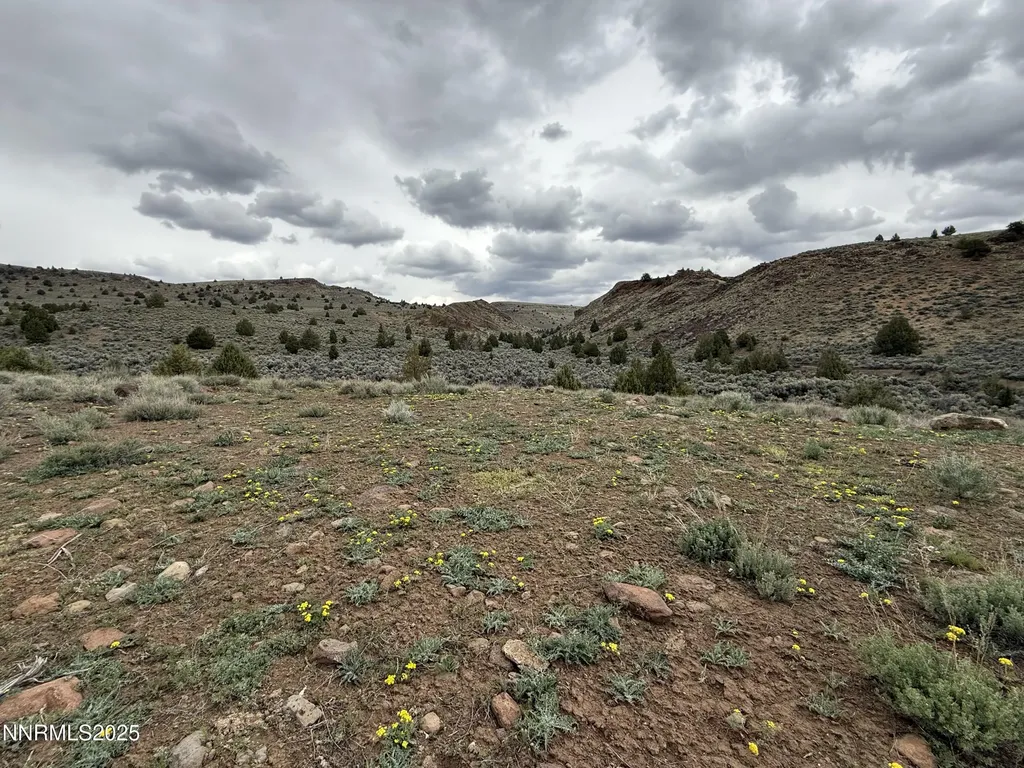 000 Wall Canyon Reservoir Gerlach NV 89412