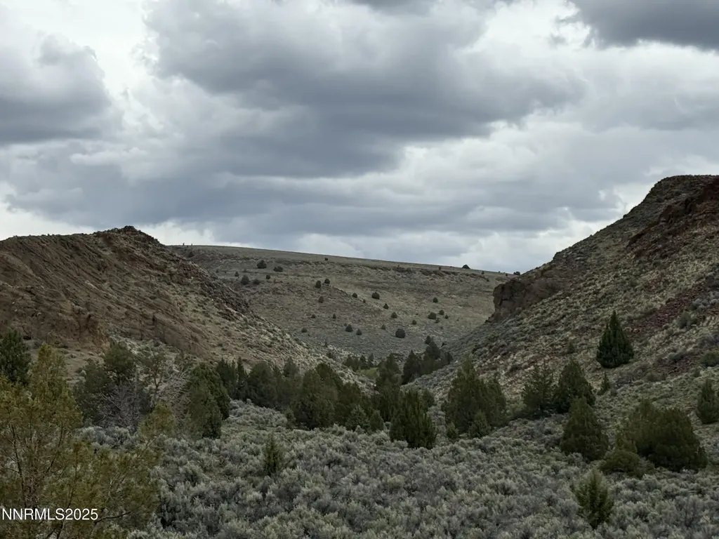 000 Wall Canyon Reservoir Gerlach NV 89412