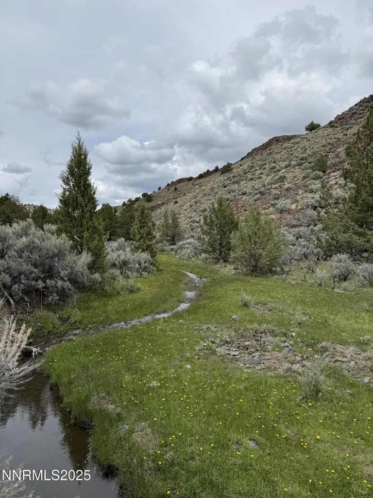 000 Wall Canyon Reservoir Gerlach NV 89412