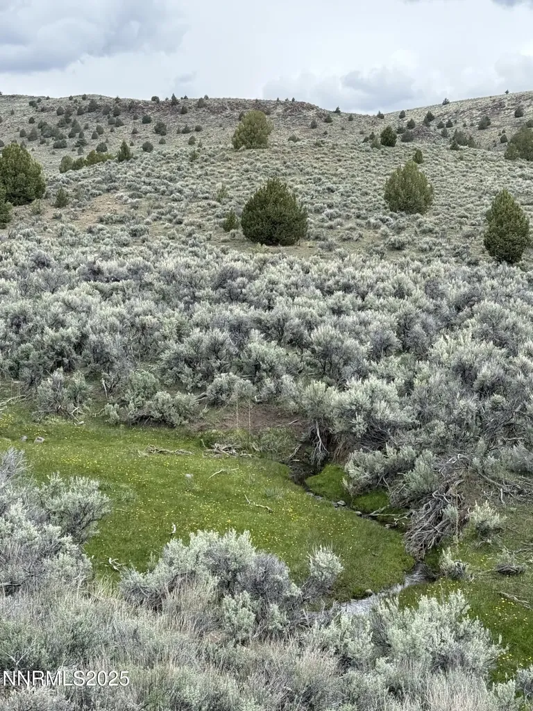 000 Wall Canyon Reservoir Gerlach NV 89412