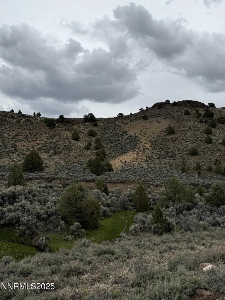 000 Wall Canyon Reservoir Gerlach NV 89412