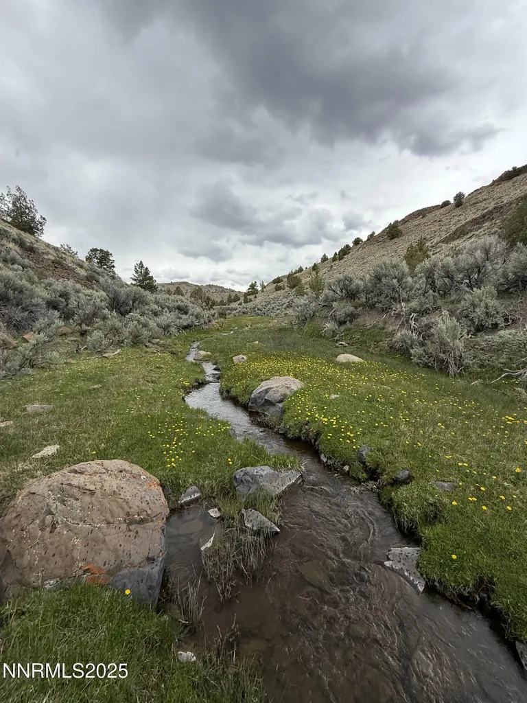 000 Wall Canyon Reservoir Gerlach NV 89412