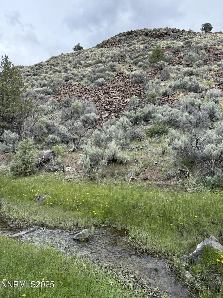 000 Wall Canyon Reservoir Gerlach NV 89412