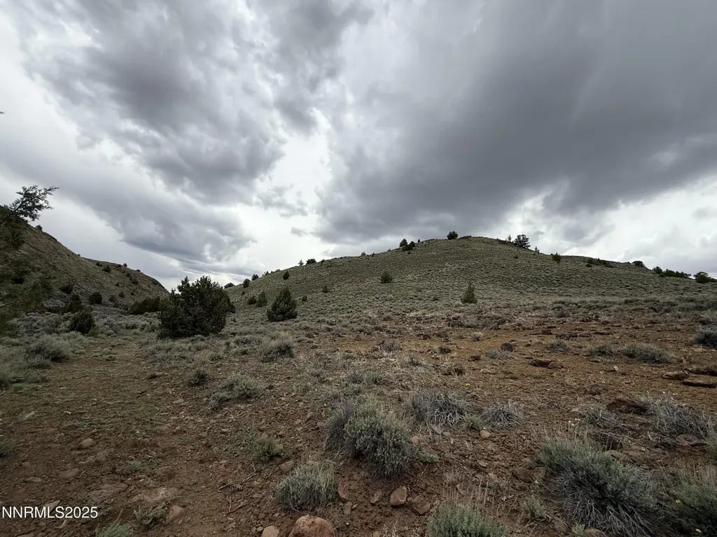 000 Wall Canyon Reservoir Gerlach NV 89412