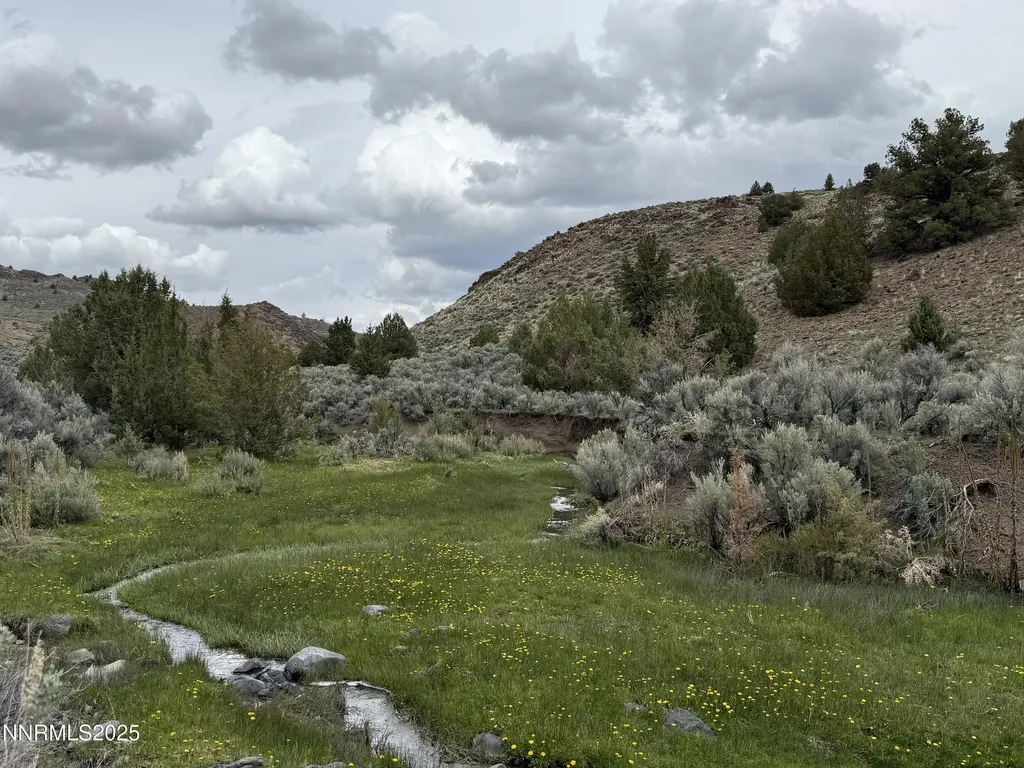 000 Wall Canyon Reservoir Gerlach NV 89412