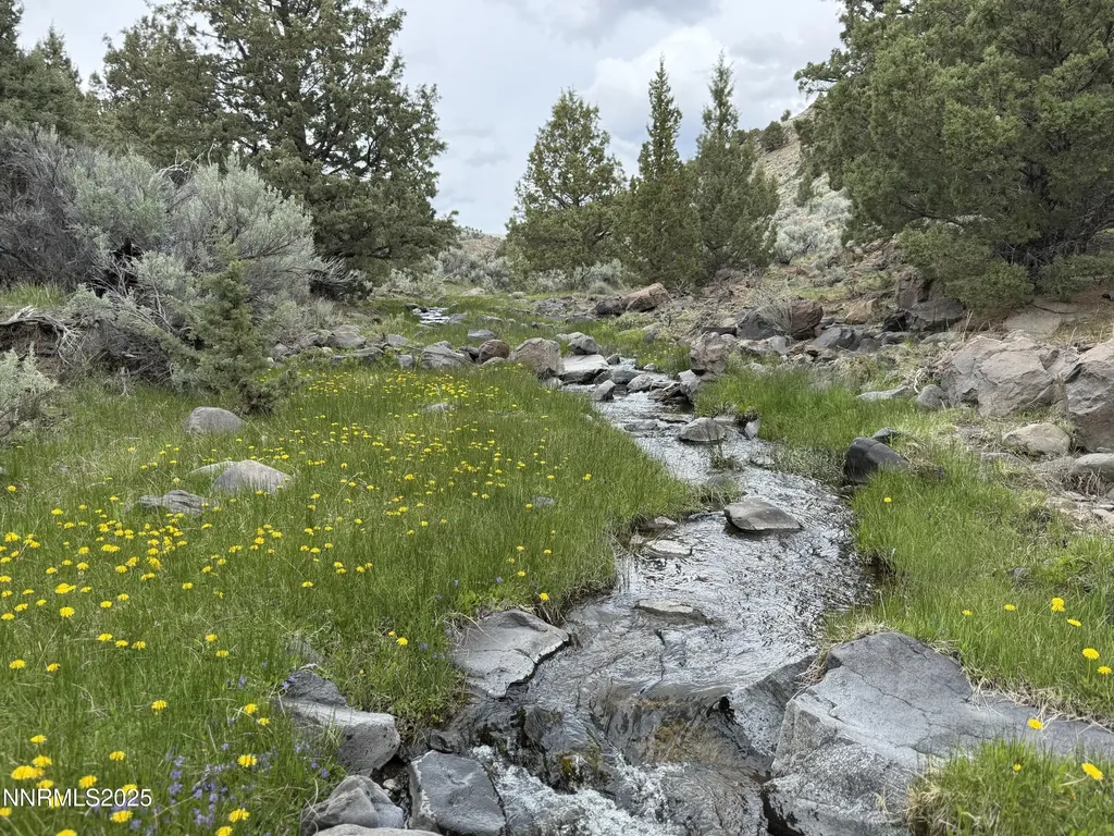 000 Wall Canyon Reservoir Gerlach NV 89412