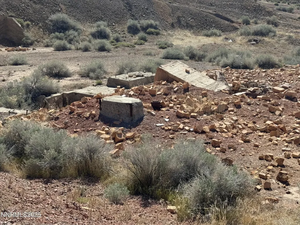 01508012 Coal Canyon Lovelock NV 89419