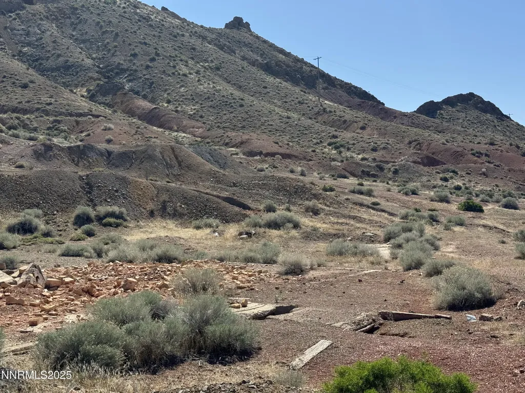 01508012 Coal Canyon Lovelock NV 89419