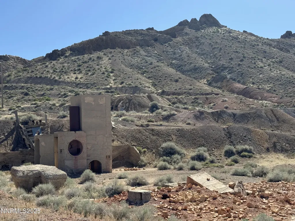 01508012 Coal Canyon Lovelock NV 89419