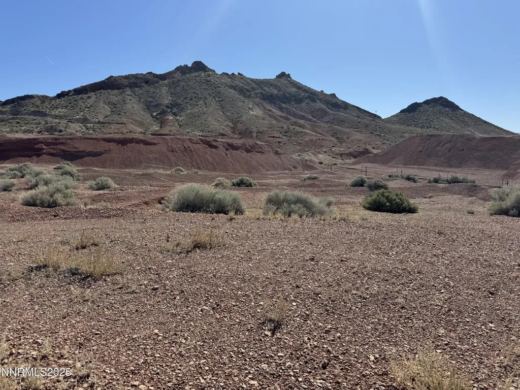 01508012 Coal Canyon Lovelock NV 89419