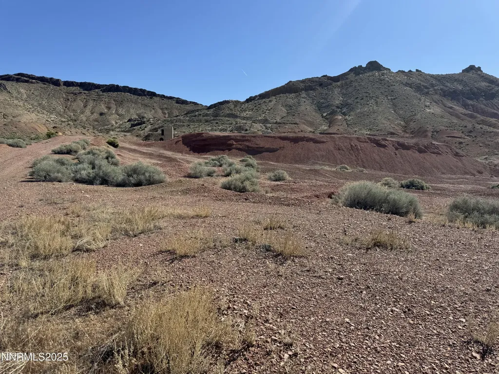 01508012 Coal Canyon Lovelock NV 89419
